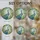 duiyfppz/products/6a0c1a079d8ea37e6ae0372a/gallery/rj4kfHuolY