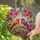 duiyfppz/products/6a0c200ced635bc11b2171b4/gallery/-RXeBxx3EE