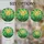 duiyfppz/products/6a0c20519d8ea38189e0425d/gallery/1Pg-eogZwC