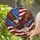 duiyfppz/products/6a0c22bb227c7574b5d03aff/gallery/ThImXlSwx7