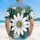 duiyfppz/products/6a0c2448cd5dab6a46ea6b12/gallery/Z2RNbLOxYf