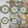 duiyfppz/products/6a0c24accd5dab0525ea6c46/gallery/6Bc1rNGytS