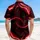 duiyfppz/products/6a0c270a5363f6ed512d14cb/gallery/l3aiiylxK8