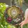 duiyfppz/products/6a0c2820db1893fb2d798851/gallery/WqhvVmT24S