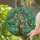 duiyfppz/products/6a0c2891ed635b2b8d2187b7/gallery/SRdF2THE-q