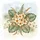 duiyfppz/products/6a0c28bc9d8ea3dc01e05c3a/gallery/fGq8J_tiyU
