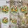 duiyfppz/products/6a0c2a7fcd5dabe492ea7baa/gallery/kswx2Ci7mF
