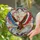 duiyfppz/products/6a0c2bb1227c75dd89d05548/gallery/zk_7Horf1I