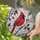 duiyfppz/products/6a0c2cf8cd5dabc5a8ea81e5/gallery/L-dLwz_Q7F