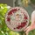 duiyfppz/products/6a0c2d469d8ea33de7e06a21/gallery/qa-P444TzU