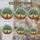 duiyfppz/products/6a0c2ee68dcd61e579bc1f1b/gallery/RrIKItMshv