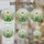 duiyfppz/products/6a0c2fded6d10f3e6cca0345/gallery/o3WPRi3IT7