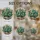 duiyfppz/products/6a0c304220a91153419a4784/gallery/sRHo7jTC7F