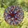 duiyfppz/products/6a0c308bdb1893674179a1c5/gallery/0wCji-C8v-