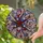 duiyfppz/products/6a0c308bdb1893674179a1c5/gallery/YoSb_HnJ4m