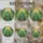 duiyfppz/products/6a0c32402dbb6710525f65e9/gallery/CIWN0iAQnT