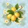 duiyfppz/products/6a0c36eacd5dabc29cea9b1f/gallery/zcd819p4U5