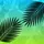 duiyfppz/products/6a0c39df5363f644862d458c/gallery/PGY2uakMxV