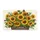 duiyfppz/products/6a0c3fc605589825af398ba0/gallery/y6cqeqUIup