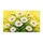 duiyfppz/products/6a0c4264227c758d46d094b6/gallery/phSW8usehw