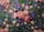 duiyfppz/products/6a0c4b8f2dbb67feb05f94c9/gallery/thY7Bm-atj