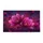 duiyfppz/products/6a0c4e649d8ea3b5a2e0aba7/gallery/SAQqt4vsi-