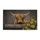 duiyfppz/products/6a0c5069227c759226d0a31a/gallery/J9VuZl3r1d