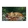 duiyfppz/products/6a0c5f600558984bcd39b4c4/gallery/J9Ygn0EDhZ