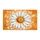 duiyfppz/products/6a0c5f792dbb6762405faae8/gallery/UFb_o95BAz