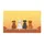 duiyfppz/products/6a0c6373cd5dabb1b0eae5a6/gallery/BwpfYpFm3M