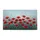 duiyfppz/products/6a0c6c589d8ea36d33e0e30d/gallery/JAuDRvmFFR