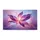 duiyfppz/products/6a0c6cf3624a461a09c03914/gallery/JFlvhCeZxW