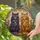 duiyfppz/products/6a0c6f159d8ea38ca8e0ea23/gallery/KsmClqzqTs