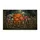 duiyfppz/products/6a0c7013055898088f39ca3b/gallery/d7T1PiueQU