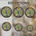 duiyfppz/products/6a0c72f6cd5dab6c06eaff8b/gallery/Oswvifrl9N