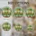 duiyfppz/products/6a0c7456e42a89ff4c5a984d/gallery/rpBsQAoyGg