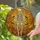 duiyfppz/products/6a0c7523cd5dab0bf4eb0635/gallery/UQdzYvus6g