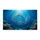 duiyfppz/products/6a0c7617bb9a1e090ec6e56e/gallery/3WHMRUhlFA