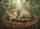 duiyfppz/products/6a0c77029d8ea34bace10295/gallery/9GDkXQuTnQ