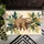 duiyfppz/products/6a0c79d51433e0ae6f0dbd3b/gallery/NRnfpFu41J