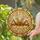 duiyfppz/products/6a0dbea40ca78626bdda19d7/gallery/bx8VCefO9p