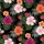 duiyfppz/products/6a0dc5c430338d36acc9b14f/gallery/pIalKsDuvJ
