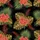 duiyfppz/products/6a0dd7e203072d93b3ee0bb8/gallery/ZNNGA2vaaF