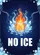 NO ICE Text Flame in Melting Ice Cube - Home Decor Statement Gift Garden Flag - 6