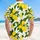 duiyfppz/products/6a0de6ba5ec45961d9c7d7f8/gallery/Qx8H59TsJ-