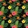 duiyfppz/products/6a0df31b0caa883fce1ce6e5/gallery/yYAvL6hyA0