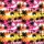duiyfppz/products/6a0df459be442dd148e0d37c/gallery/1JGYRM3irn