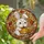 Chibi White Bunny Jack-O'-Lantern Pumpkin - Halloween Home Decor Gift Stained Glass Suncatcher - 2
