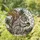 Grey Squirrel Acorn Bushy Tail Pine Branches - Wildlife Lover Home Decor Gift Stained Glass Suncatcher - 1