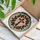Christian Cross Thorny Rose Vines Red Rose Wreath - Home Decor Gift for Christian Faith Stained Glass Suncatcher - 3